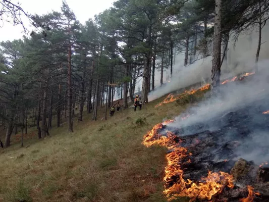 Bild: Managing Wildfires Better