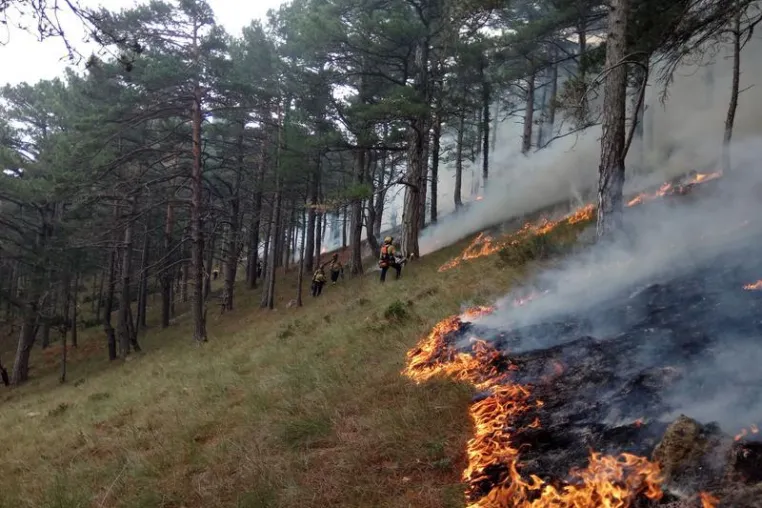 Bild: Managing Wildfires Better