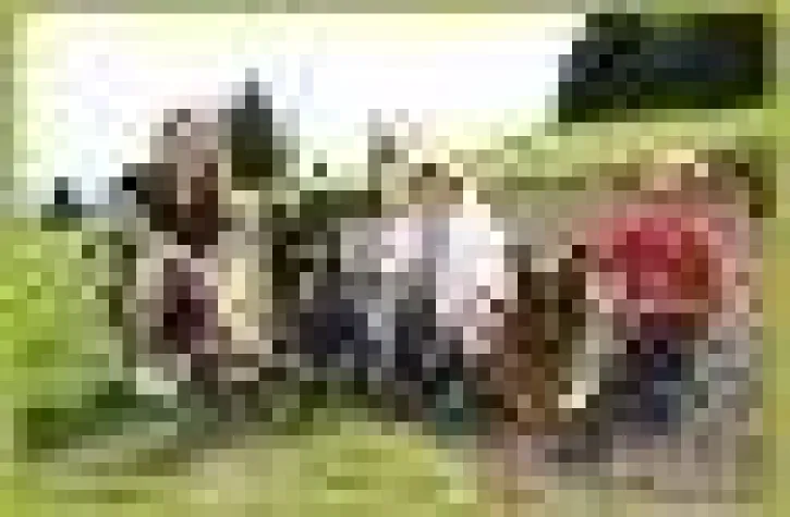 Wir haben ein Herz für Kinder und Hunde Bild: Wir haben ein Herz für Kinder und Hunde