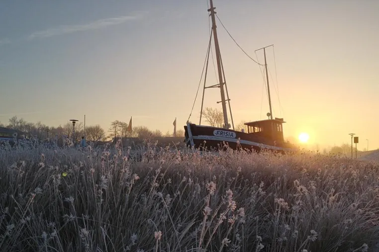 Bild: Den Jahreswechsel an der Nordsee genießen - Norden-Norddeich lockt mit vielfältigen Angeboten