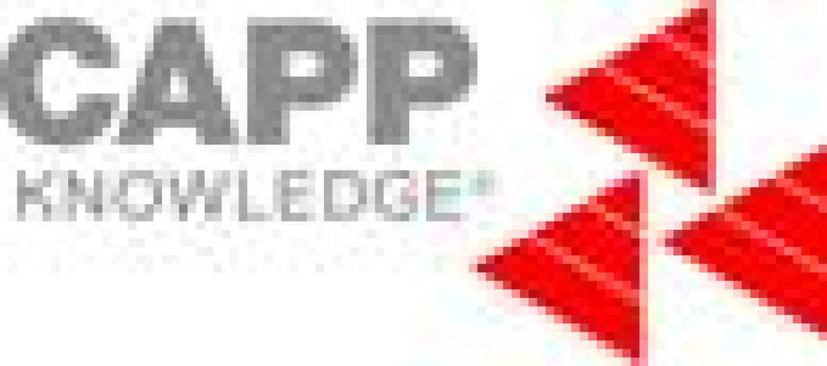 CAPP Knowledge, SAP-Addon für Vorgabezeitplanung