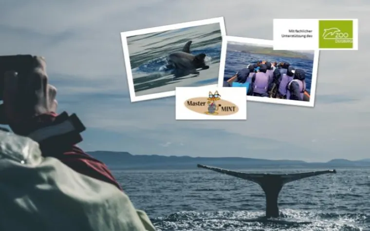 Bild: Sonderexpedition Blauwal