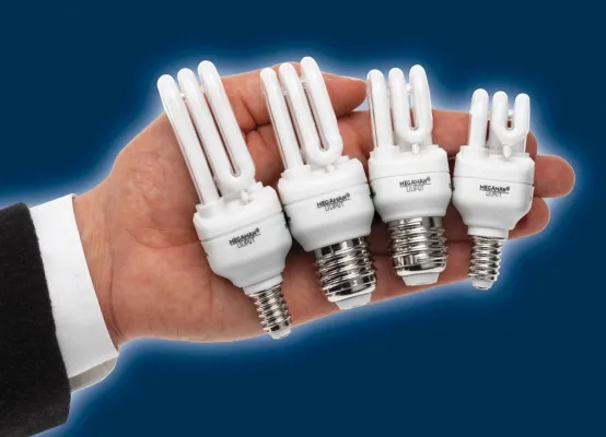 Bild: Halogen und LED sind derzeit noch keine Alternativen zu Energiesparlampen