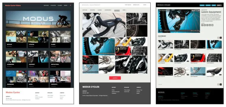 Brightcove Gallery gestaltet attraktive Video-Portale für das Online-Marketing Bild: Brightcove Gallery gestaltet attraktive Video-Portale für das Online-Marketing