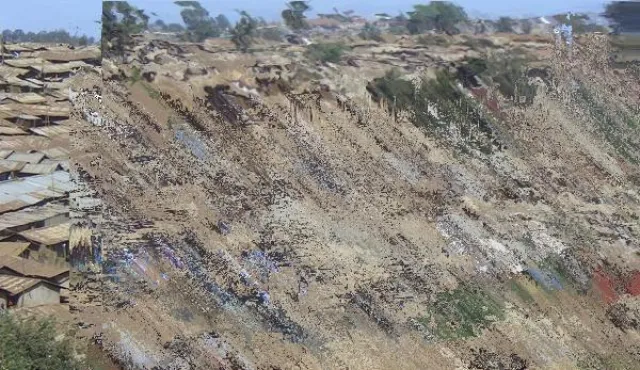 Bild: Holocaust - Grafiken von Alva Krafft erstmals in Deutschland