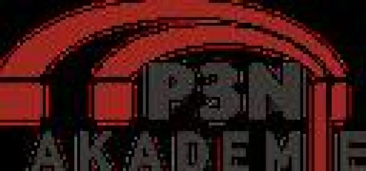P3N-Akademie
