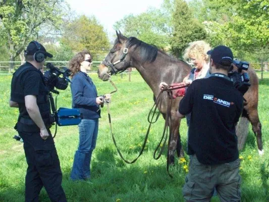 Bild: Steigen, bocken, nicht verladen - Europäische Pferde Akademie jetzt mit eigenem TV Kanal Pferdeflüstern TV