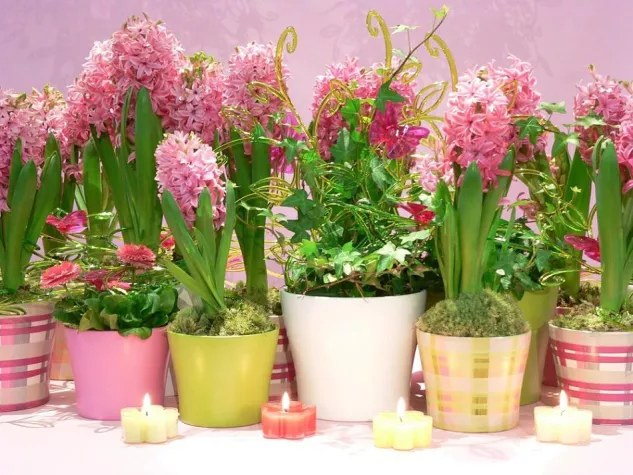 Bild: Treiben Sie's bunt: Kerzentrends für Frühling 2015