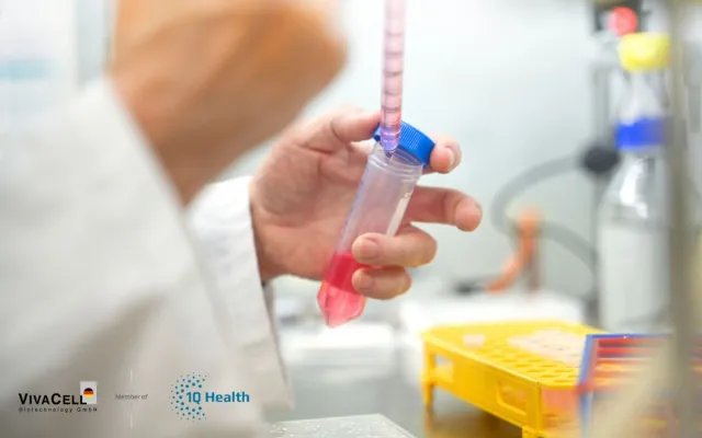 Bild: Wie Zellstudien die Entwicklung erfolgreicher Nahrungsergänzungsmittel vorantreiben