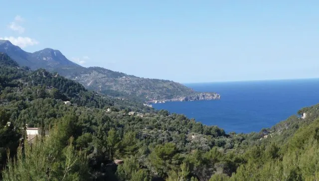 Bild: Der Mallorcashop bringt das Beste von der Lieblingsinsel der Deutschen jetzt nach Hause