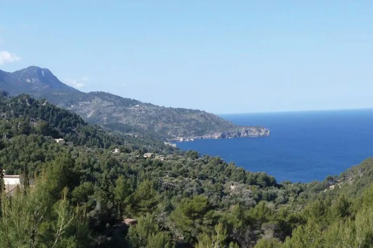 Bild: Der Mallorcashop bringt das Beste von der Lieblingsinsel der Deutschen jetzt nach Hause