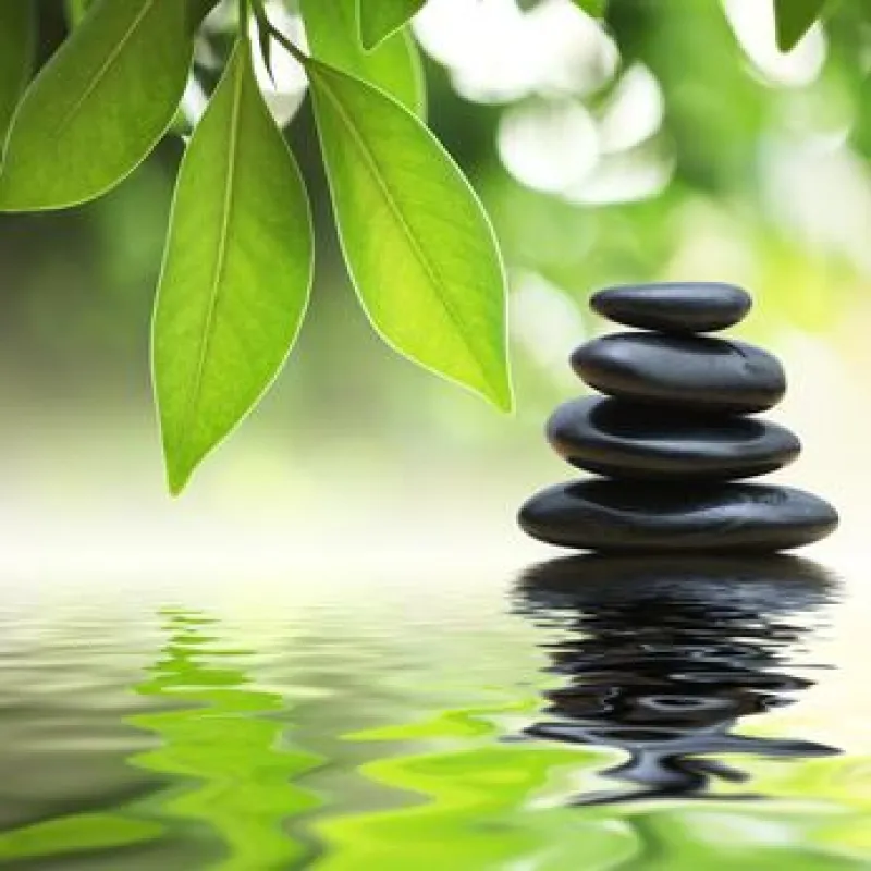 © Konstantin Sutyagin - Fotolia.com
