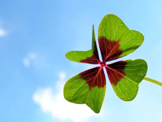 Bild: Smart und glücklich: Mit neuer App positiver durch den Tag