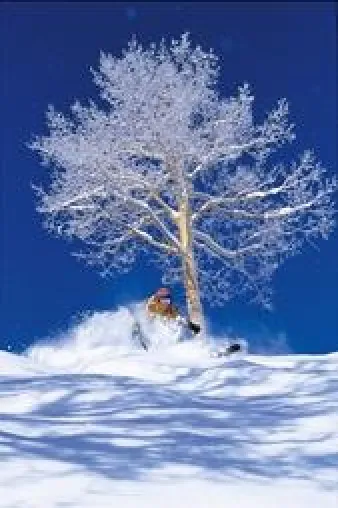 Bild: Aspen - Pistenraupe mit Sonderkraftstoff