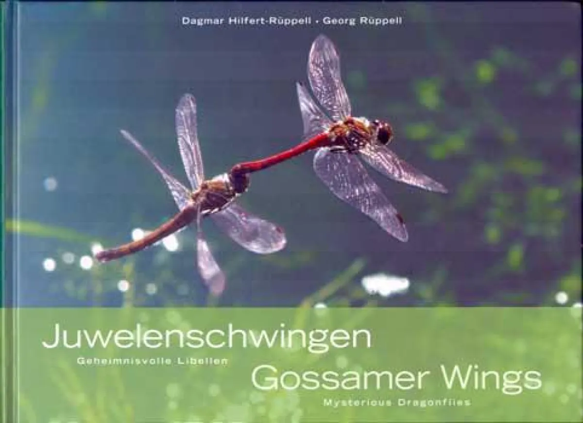 Juwelenschwingen - Gossamer Wings