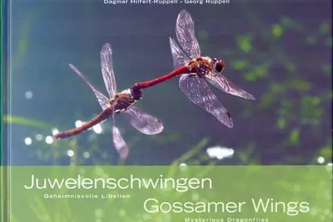 Bild: Geheimnisvolle Libellen