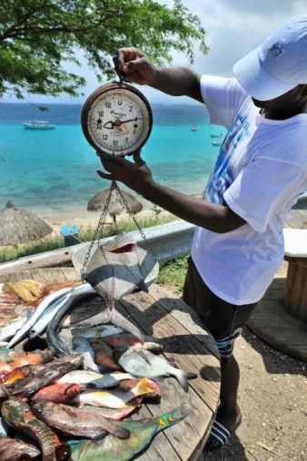 Grillen wie auf Curaçao mit karibischen Barbecue-Ideen Bild: Grillen wie auf Curaçao mit karibischen Barbecue-Ideen