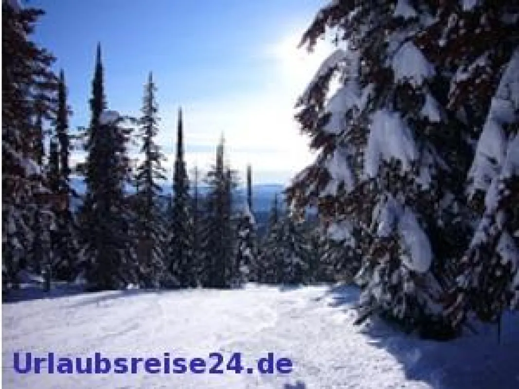 Winterreisen - Tipps und Trends