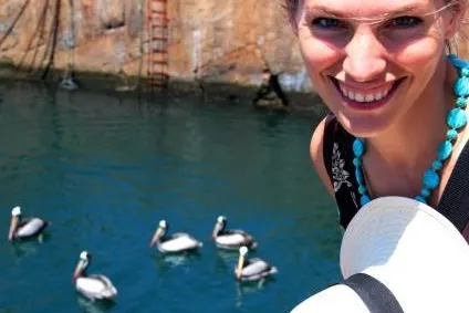 35. Tier: Pelikane im Hafenbecken von Valparaiso Bild: 35. Tier: Pelikane im Hafenbecken von Valparaiso