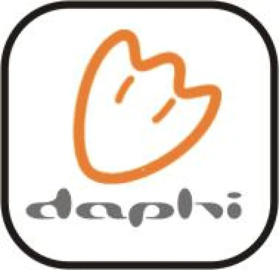 Das Berliner IT Systemhaus DaPhi