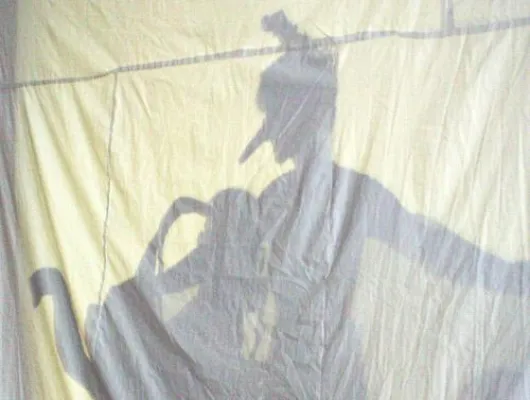 Bild: Einladung zum Schattenspiel-Theater - Ein Märchen für Kinder und Erwachsene