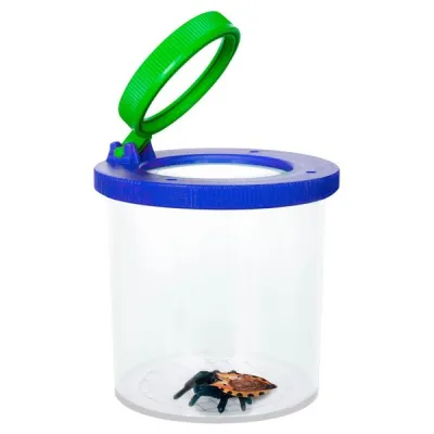 Bild: Herangezoomt: Lupen von BRESSER-Junior liefern faszinierende Details von Pflanzen und Tieren