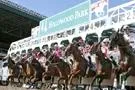 Bild: Gruppe 1 Rennen um 750.000 US-Dollar in Hollywood Park