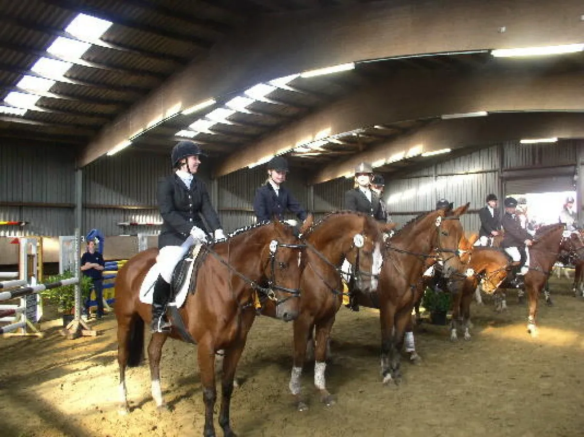Plazierung der Sieger der Manschaftsprüfung First-Team Reitsportvereins-Reiter