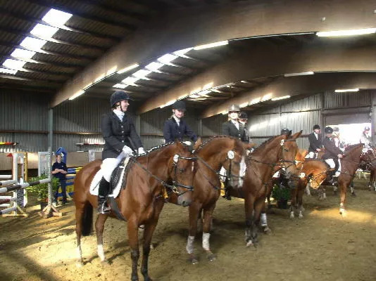 Bild: Erstes Turnier des FIRST-TEAM Reitsportverein Horstmar-Leer e.V. wurde ein voller Erfolg