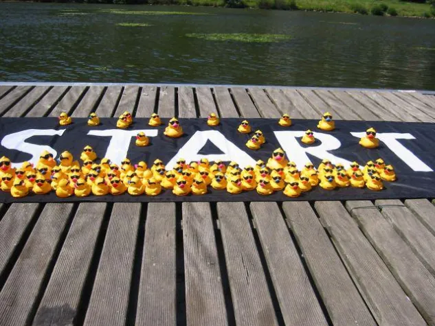 Bild: Die Enten erobern die Trierer Innenstadt