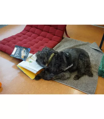 Bild: Auf den Hund gekommen: Nürnberger Gesundheitsnetz QuE fördert Kinder mit besonderem Lesebedarf