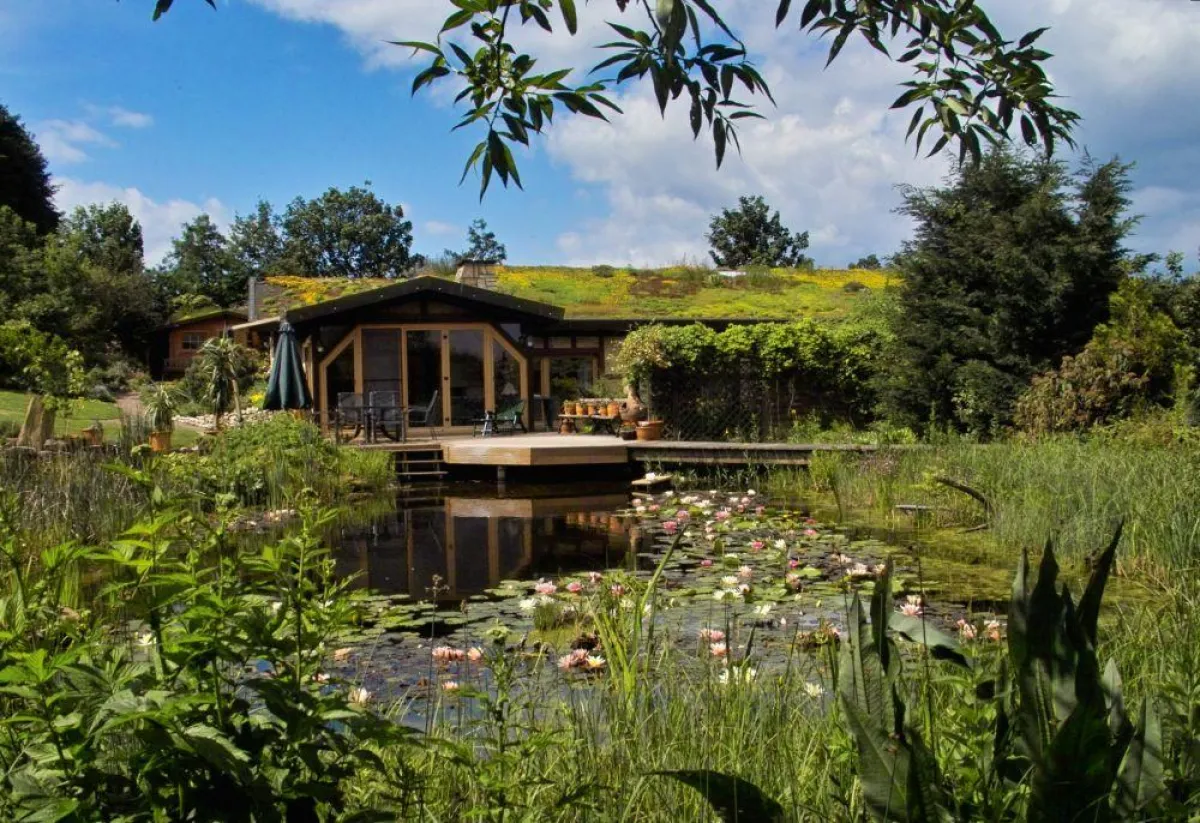 Sanfte Wasserreinigung im Einklang mit der Natur: Luftmotoren im Gartenteich schonen das Ökosystem und sind energiesparend.
