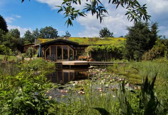 Die perfekte Welle Bild: Die perfekte Welle