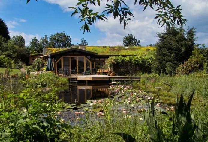 Bild: Die perfekte Welle