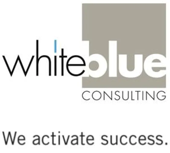 Bild: Whiteblue stellt in Brüssel seine Erfahrungen mit einem EU-Förderprogramm zur Verfügung