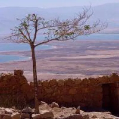 Totes Meer Speisesalz aus Israel - was macht den Unterschied? Bild: Totes Meer Speisesalz aus Israel - was macht den Unterschied?