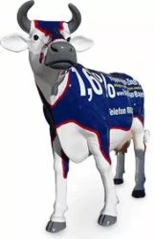 Bild: Währungsfinanzierung für private Immobilien