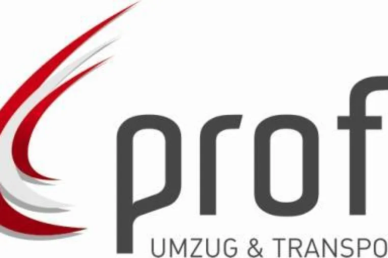 Bild: Profi – Umzug Wien – macht Ihren Umzug zum Vergnügen