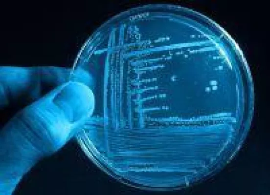 Bild: Chancen der Biotechnologie für Ostdeutschland