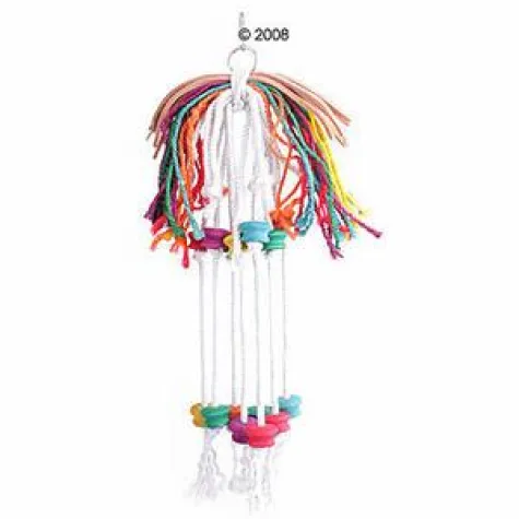 Bild: Faschingstreiben für Haustiere