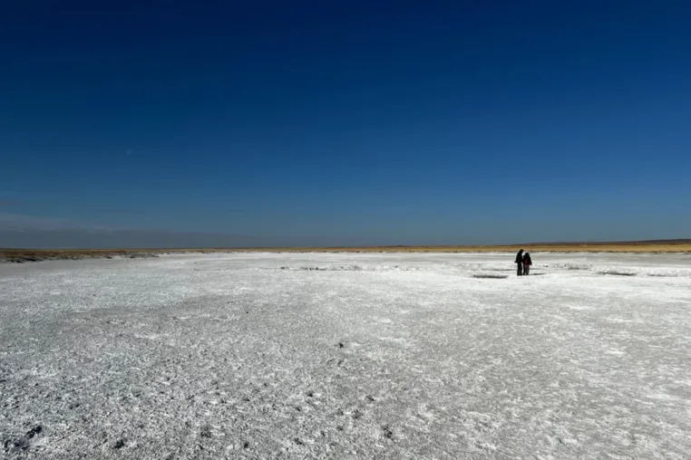 Bild: Rohstoffe: Deutschland will Zusammenarbeit mit der Mongolei vertiefen