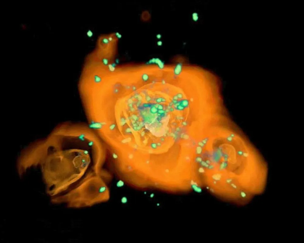 Orange dargestellt ist die Verteilung des Haufengases, das Temperaturen von mehreren Millionen Grad Celsius aufweist und den Raum zwischen den Galaxien ausfüllt. Die grünen Bereiche stellen Gas dar, w
