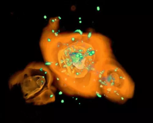 Bild: Erstes Doktoratsstipendium vom HPC-Konsortium vergeben