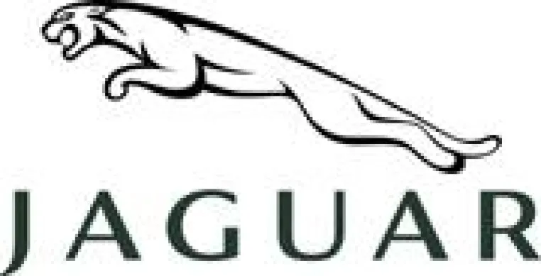 Bild: Jaguar Deutschland setzt mit MEHRKANAL zum Sprung ins Jahr 2009 an