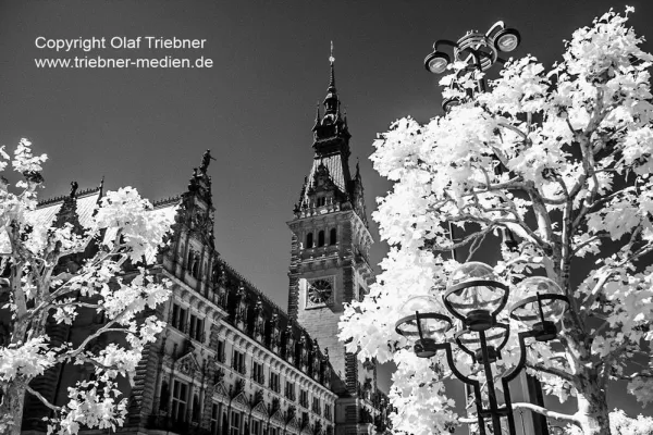 Bild: HAMBURG infrarot fotografiert – Fotoausstellung vom 01.08. – 13.08.2016 im Hanseviertel