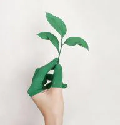 Überbein - Plötzlich ein Handgelenksganglion Bild: Überbein - Plötzlich ein Handgelenksganglion