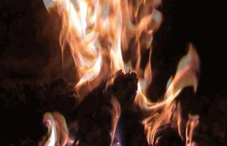 Bild: Kaminfeuer Titanium Edition - ein wahrer Dauerbrenner