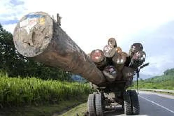 Bild: US-Menschenrechtsbericht rückt Penan ins Rampenlicht