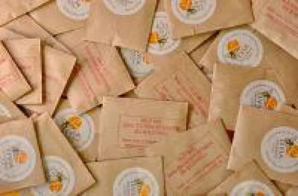 Bild: Bienensterben: Das "LEVIA-Blütenwunder" leistet einen kleinen Beitrag, um das zu verhindern