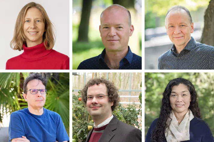 Bild: Exzellenzcluster für Pflanzenforschung CEPLAS geht in dritte Runde